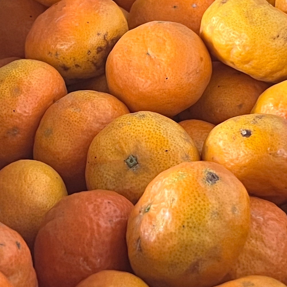 Mandarinen Obstkiste