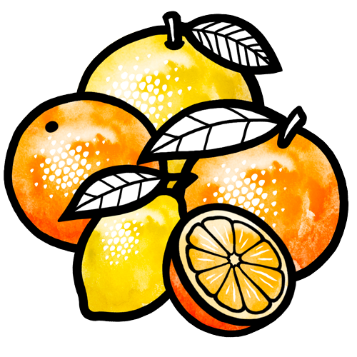 Mischkiste »Zitrushain«